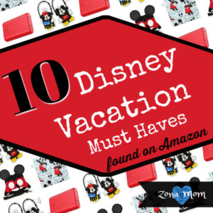 Disney Must Haves | Disneyland Vacation Tips | Disneyland Must Haves | Disney Vacation Tips