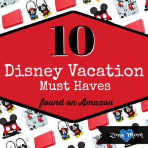 Disney Trip Tips | Disneyland Vacation | What to bring to Disneyland | Disney Park Must Haves
