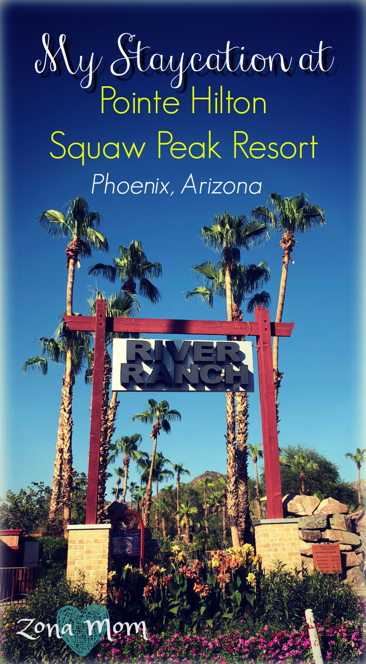 Staycation | Resort Review | Pointe Hilton Squaw Peak Resort Review | Surprise Staycation | Resorts with Waterparks | Phoenix Arizona Vacation