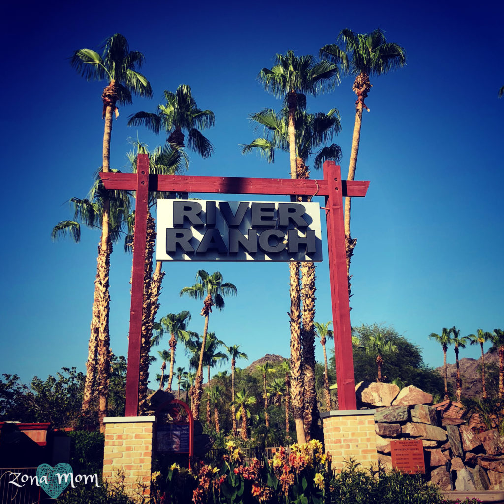 Staycation | Resort Review | Pointe Hilton Squaw Peak Resort Review | Surprise Staycation | Resorts with Waterparks | Phoenix Arizona Vacation 
